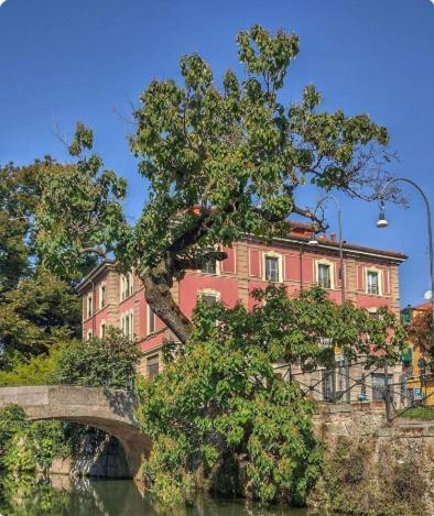 Your Place In * Mailand